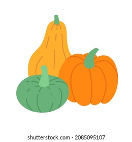 Three pumpkins. Group of different color pumpkins. Flat vector illustration isolated on white.