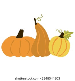 Three pumpkins and leaves on white. Decorative image of autumn vegetable and plant. Halloween, thanksgiving