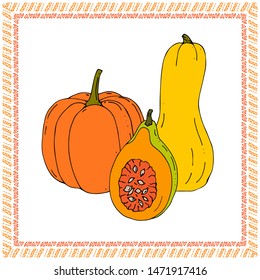 three pumpkins set in abstract frame simple illustration vector