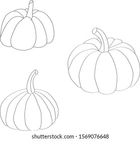 Three pumpkins sketch on a white background. Squashes without color.
