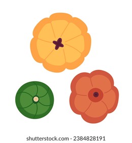 Three pumpkins top view 2D cartoon object. Thanksgiving decoration isolated vector item white background. Autumnal vibes. Harvest autumn veggies. Halloween vegetables color flat spot illustration