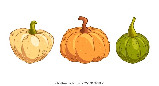 Three Pumpkins In Varied Colors Perfect For Autumn Theme. Each Pumpkin Boasts Distinct Textures And Shades