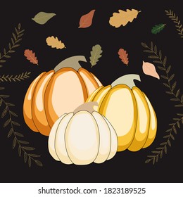Drei Pupkins auf schwarzem Hintergrund mit Blättern. 