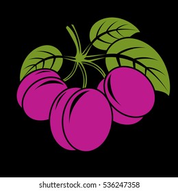Three purple simple vector plums with green leaves, ripe sweet fruits illustration. Healthy and organic food, harvest season symbol. 