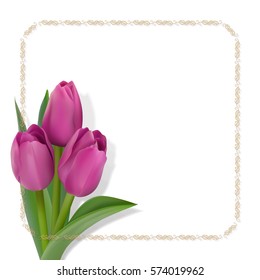 Three purple tulips in the lower left corner of the card and golden square ornamental frame on a white background. Vector illustration with place for text. Photo realistic delicate flower.