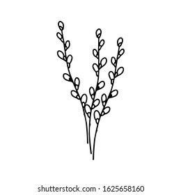 Three pussy willow twigs in doodle style. Great for Easter greeting cards, logo. Hand drawn vector illustration in black ink. Isolated outline.