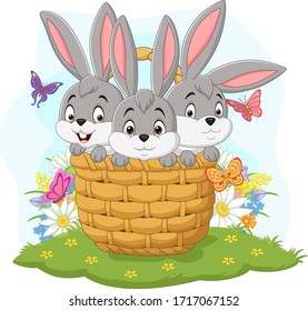 Three rabbits cartoon in the basket