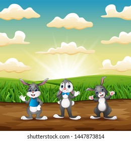 Three rabbits standing on field in the morning