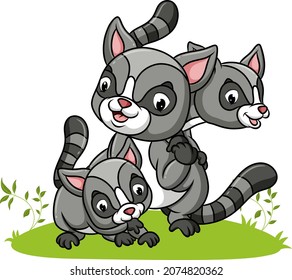 The three raccoon are playing together in the park of illustration