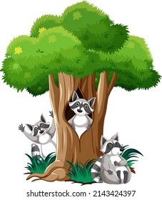 Three raccoons by the tree illustration