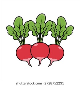 Three radish illustration vector art design