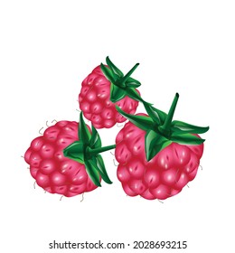 three raspberries with a tail close up