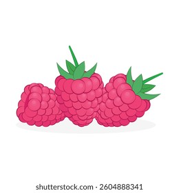 Three raspberries in white background
