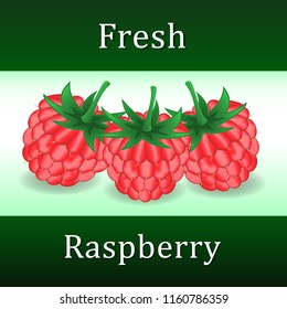 Three raspberry berries isolated on white background. Vector Illustration