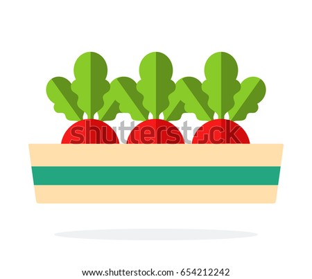 Three raw beets in a long pot vector flat material design isolated on white