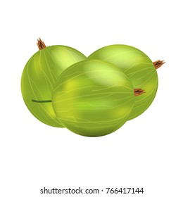 Three realistic 3d amla or Indian gooseberry mockup. Isolated on white background. Illustrated vector.