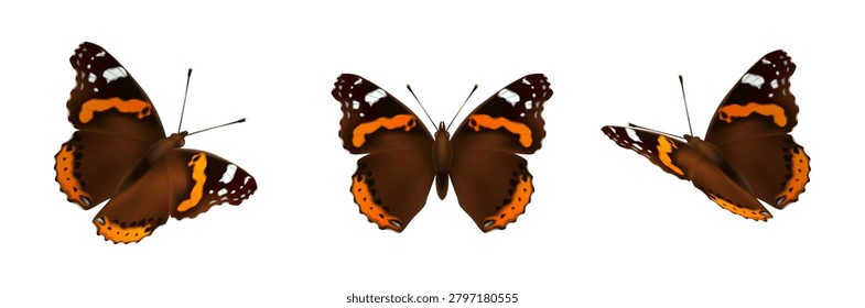 Three realistic butterflies in different flying poses. Vibrant colors highlighted against a clean white backdrop. Perfect for naturerelated visuals and educational purposes.