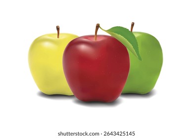Three realistic colorful apples red, green, and yellow fruit isolated on white background.
