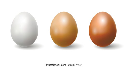 Three realistic eggs. Design element. Vector illustration.