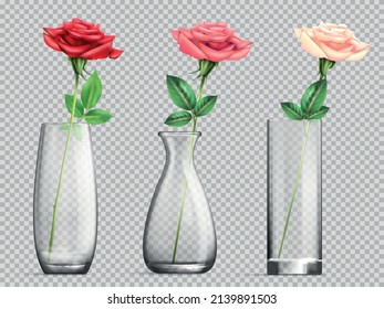 Three realistic glass vase with rose flower on transparent background isolated vector illustration