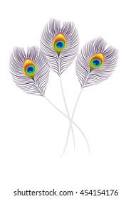 Three realistic peacock feather with a bright color