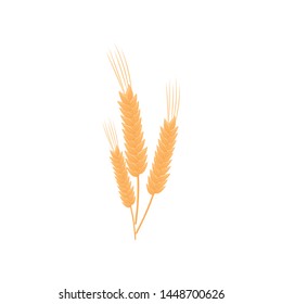 Three realistic stalks of wheat. Vector illustration on white background.