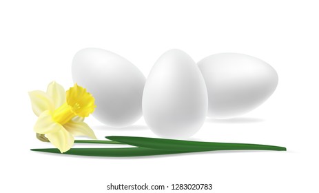 Three realistic white Easter eggs decorated yellow flower narcissus. 3d egg arranged at different angles an isolated background vector illustration.
