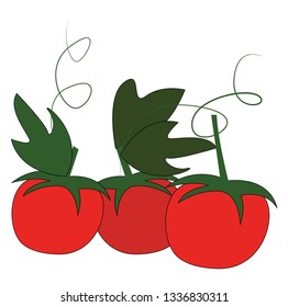 Drei rote Kirschtomaten mit grünen Blättern, Vektorgrafik auf weißem Hintergrund.