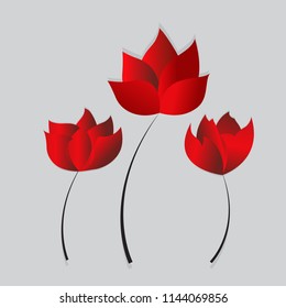 Three red flower on the white background
