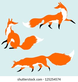 Three red foxes in motion