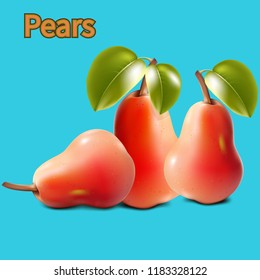 Three red juicy realistic pear, close up on blue background, vector
