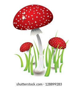 Three red mushrooms, isolated, EPS 10