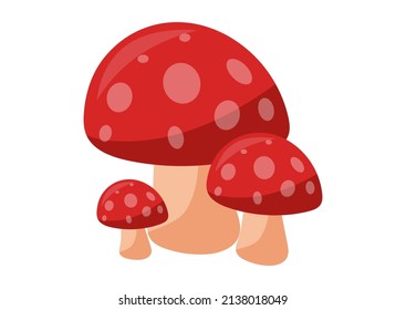 Three red mushrooms isolated on white background. Vector illustration of red mushroom