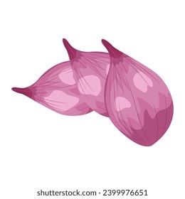 Three red onions isolated on white background Vector cartoon illustration