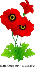 three red poppies on thin stems with green leaves