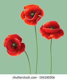 Three red poppy flowers. 