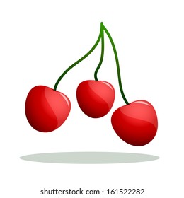 Three red prunus cerasus, even with its branches.
