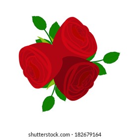 three red roses