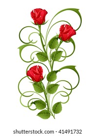 Three red roses on a white background