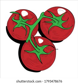 Three red tomatoes on a white background isolate.  Hand drawing style. 