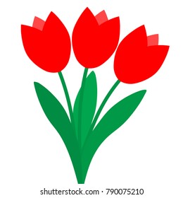 three Red Tulips isolated on white background
