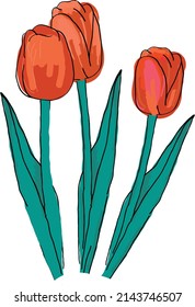 Three red tulips. A vector file is useful for creating your designs.