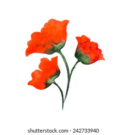 Three red tulips. Watercolor vector illustration. 