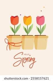 Three red, yellow, and pink tulips in pots with a red ribbon and 'Hello Spring' text below. Cheerful seasonal  flat vector illustration for spring decor and greeting cards