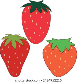 Three red yummy delicious vibrant strawberries on a white background. Fun 2D illustrations vector image.