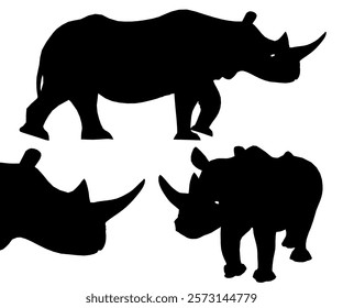 Three rhinos are shown in silhouette, with one of them looking at the camera. Scene is calm and peaceful, as the rhinos are depicted in a natural setting