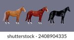 Three riding horses with different coat colors. Chestnut, bay, and black thoroughbred racehorses. Vector illustration isolated on a gray background