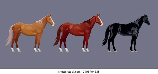 Tres caballos a caballo con diferentes colores de abrigo. Castaño, laurel y caballos de carreras de pura raza negra. Ilustración del vector aislada en un fondo gris