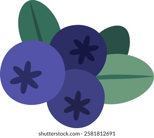 Three ripe blueberries with green leaves showing their star shaped calyx are laying on a white background, perfect for healthy eating and natural food concepts