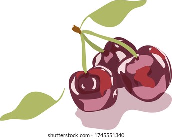 three ripe cherries with green leaves.isolated on white.vector.